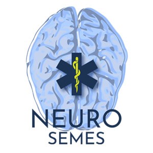 Grupo de Trabajo Neuro Ictus Semes Nacional